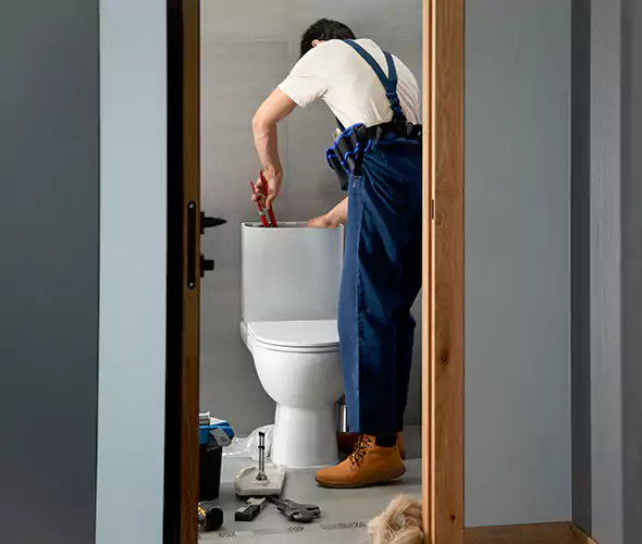 Professional Plumbers for Toilet Bowl Replacement in Peachtree City, GA: Schedule Affordable Toilet Replacement Services With Us
