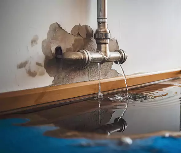Professional Water Damage Restoration Experts in Peachtree City, GA — Fast, Reliable & Certified