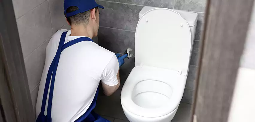 Toilet Lid Replacement in Peachtree City